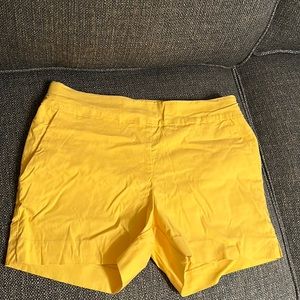 New York & company shorts